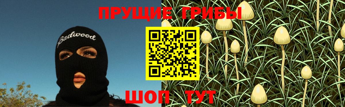 Псилоцибиновые грибы MAGIC MUSHROOMS Дедовск