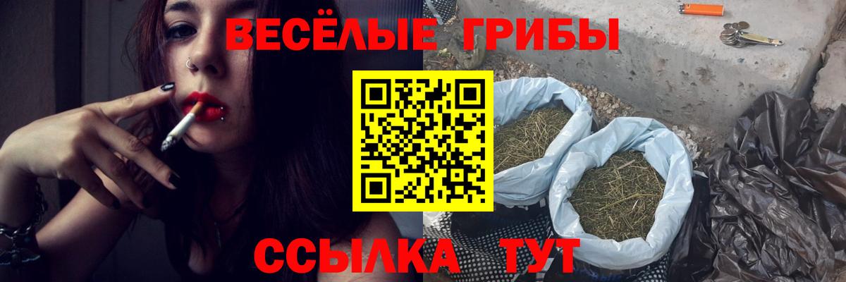Псилоцибиновые грибы Psilocybe  Галлюциногенные грибы GOLDEN TEACHER  Вход с VPN  Дедовск 